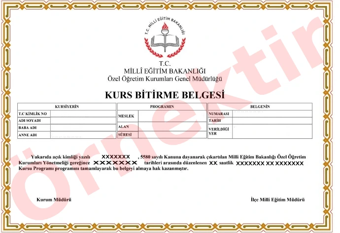 fullstack sertifikası